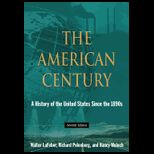 American Century : A History of the United States Since the 1980s
