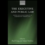 EXECUTIVE AND PUBLIC LAW POWER AN
