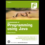 Fundamentals of Programming Using Java