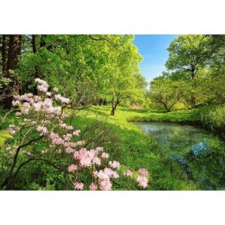 Ideal Decor 100 in. x 0.25 in. Park in the Spring Wall Mural DM136