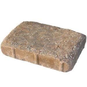 Pavestone 6 in. x 9 in. 45 mm Old Town Blend Tumbled Plaza Concrete Paver 61299T
