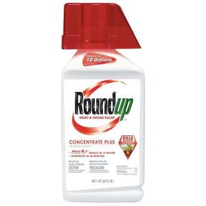 Roundup 32 oz. Concentrate Weed and Grass Killer 5005010PM