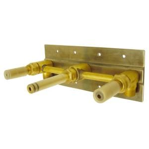 Danze 2 Handle Wall Mount Rough In Valve with Mounting Plate in Rough Brass D106800BT