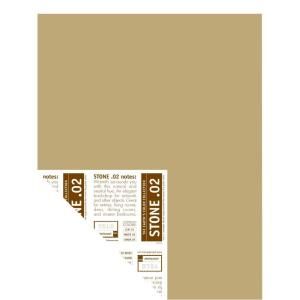 YOLO Colorhouse 12 in. x 16 in. Stone .02 Pre Painted Big Chip Sample 221628