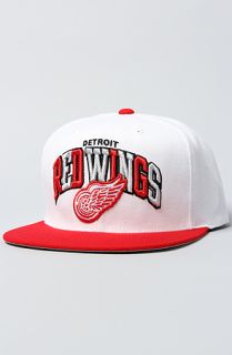 Mitchell & Ness The Detroit Red Wings Arch Tri Pop 2T Snapback White Red