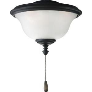 Progress Lighting Ashmore Collection Forged Black 2 light Ceiling Fan Light DISCONTINUED P2636 80