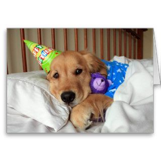 Golden Retriever Birthday Card