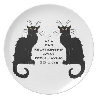 One bad relationship away having 30 cats plate