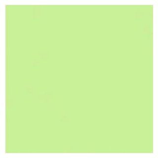 Plaid Delta 2584 12 Ounce Ceramcoat Acrylic Paint, Green Tea