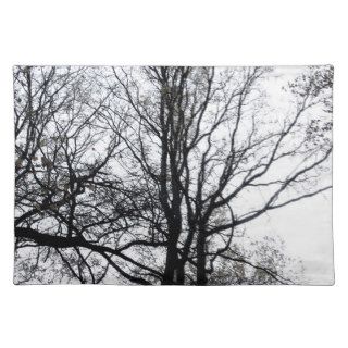 Central Park late autumn almost Barren Tree B&W Place Mats