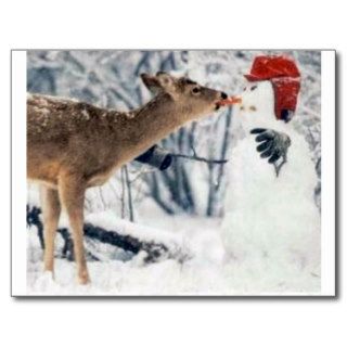 Reindeer Eating Snowman Post Cards