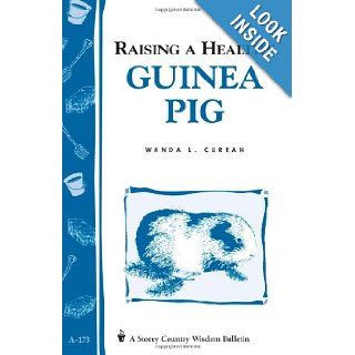 Raising a Healthy Guinea Pig: Storey's Country Wisdom Bulletin A 173 (Storey Country Wisdom Bulletin): Wanda L. Curran: 9780882669991: Books