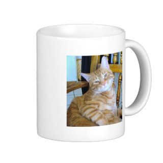 Found Feline Tabby Cat Happy Healthy Spoiled Mugs