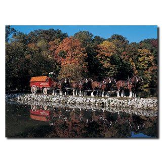 USA Wholesaler   AB266 C1419GG   Clydesdales in Fall by Stone Pond  14 x 19 Canvas: Sports & Outdoors