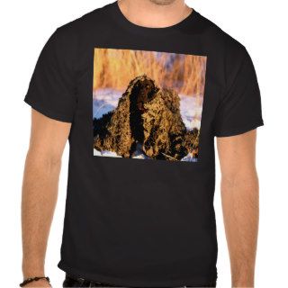 Labrador Ready And Waiting Tshirt