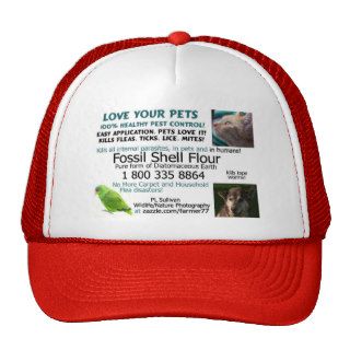 No Pesticides/Love Pets! Hat