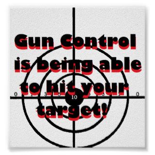 Gun Control is being able to hit your target Poster
