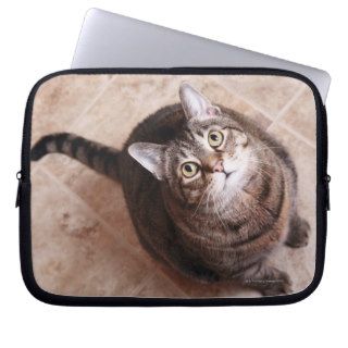 A tabby cat looking up computer sleeve