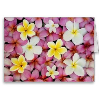 Plumeria Flowers Cards