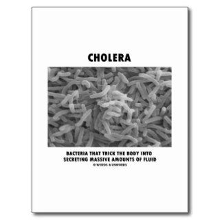 Cholera Bacteria Trick Body Into Secreting Massive Postcard