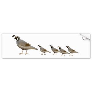 Quail Family Bumper Sticker