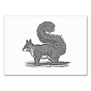 Vintage Squirrel Illustration   1800's Squirrels Business Card