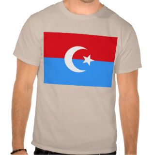 Flag of Turkestan (1917 1918) Shirts