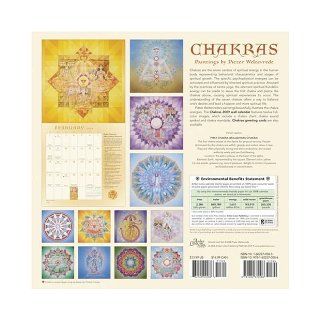 Chakras 2009 Wall Calendar: Pieter Weltevrede: 9781602370586: Books
