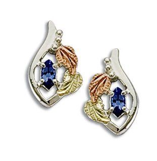 Landstroms Sterling Black Hills Silver Tanzanite Earrings   ER1778SS 455: Drop Earrings: Jewelry