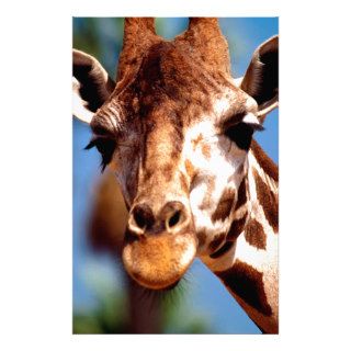 Giraffe Happly Mellow Custom Stationery