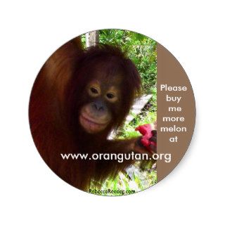 Orangutan goes Ape for Watermelon Round Stickers