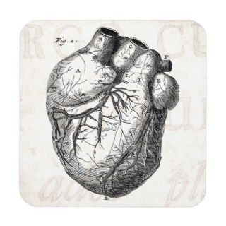Vintage 1800s Heart Retro Cardiac Anatomy Hearts Beverage Coasters