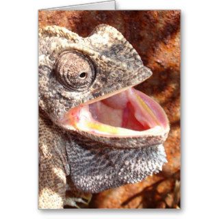 A Laughing Chameleon Greeting Cards