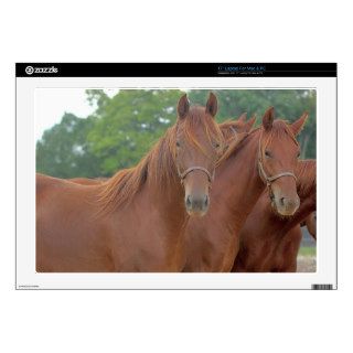 Beautiful Chestnut Bay Brown Horses Decal For 17" Laptop