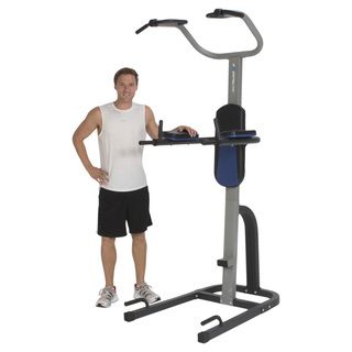 ProGear 275 Extended Capacity Power Tower Fitness Station Weights & Machines