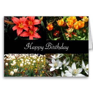 Happy Birthday Flowers  Greeting Cards