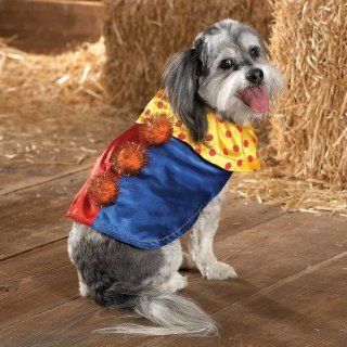 Clown Player Dog Dress Up Halloween Costume   Small : Pet Costumes : Pet Supplies