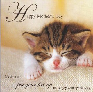Mother's Day Card "Sleeping Kitten" : Greeting Card Envelopes : Office Products