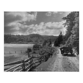 Near Dingwall, Cape Breton Island, Nova Scotia, Print