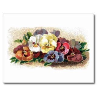 Colorful Vintage Pansies Floral Postcard