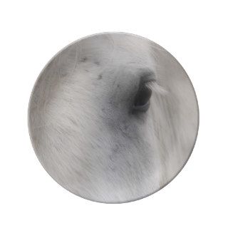 Eye Of A White Horse Animal Porcelain Plates
