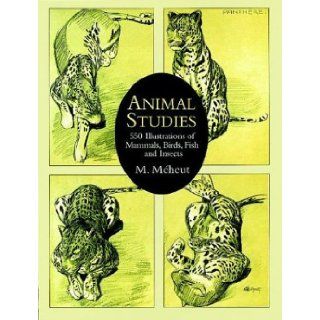 Animal Studies: 550 Illustrations of Mammals, Birds, Fish and Insects (Dover Pictorial Archives): M. Mheut: 9780486402666: Books