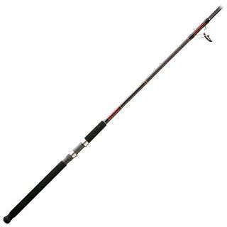 Daiwa Beefstick Saltwater Boat Rod 6' Spinning #BF B601MRS : Spinning Fishing Rods : Sports & Outdoors
