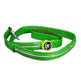 Aviditi BL605 L LED Lighted Dog Leash, Green with Green LED Lights, Large : Pet Leashes : Pet Supplies