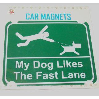 LittleGifts Australian Shepherd Paw Car Magnet  Pet Memorial Products 