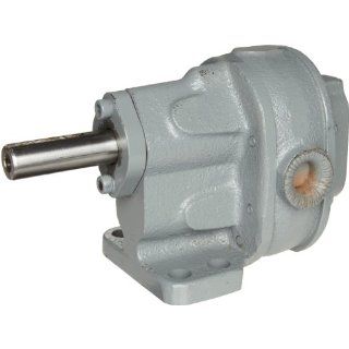 BSM Pump 713 10 3 1S Rotary Gear Pump Foot Mounting Without Relief Valve: Industrial Rotary Vane Pumps: Industrial & Scientific