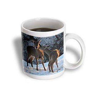 3dRose Stealing a Kiss Deer Kissing Ceramic Mug, 11 Ounce: Kitchen & Dining