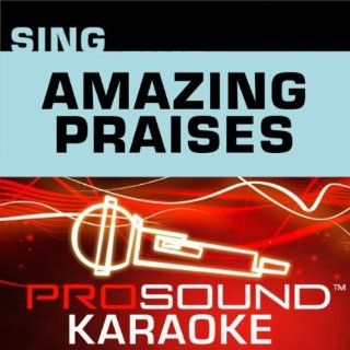 Sing Amazing Praises 3015G (Faith Series   CDG Karaoke): Music