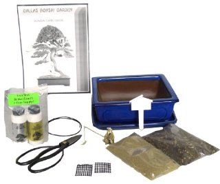 Bonsai Tree Accessory Kit with Ceramic Pot & Tray: Patio, Lawn & Garden