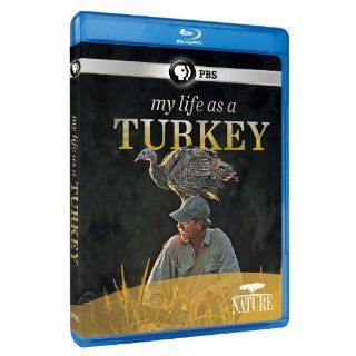 Nature My Life as a Turkey [Blu ray] Joe Hutto, Fred Kaufman Movies & TV